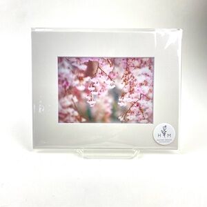 Cherry Blossoms in Snow Photographic Art Print 5x7